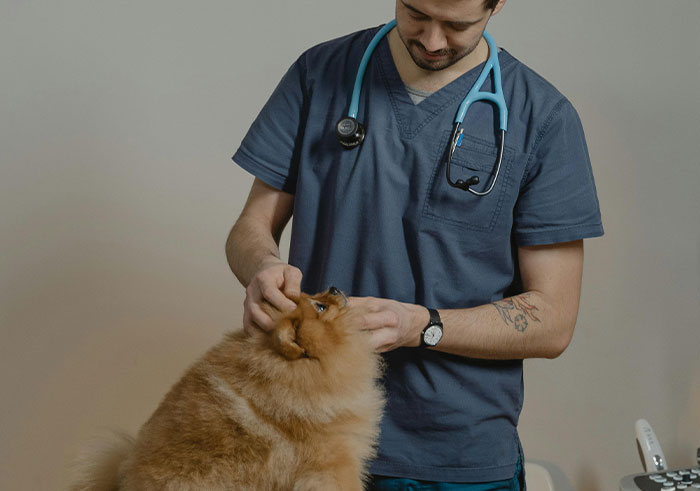 “What's A Misconception About Your Profession That You're Tired Of Hearing?” (30 Answers)