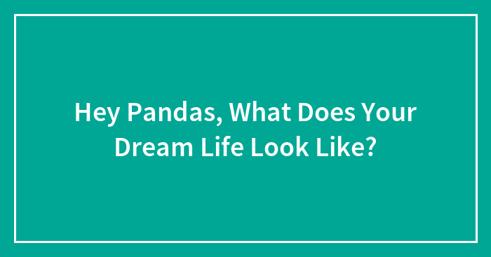 Hey Pandas, What Does Your Dream Life Look Like? (Closed)