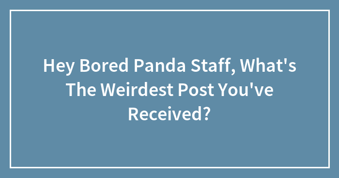 Hey Bored Panda Staff, What’s The Weirdest Post You’ve Received?