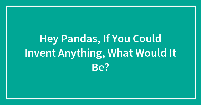 Hey Pandas, If You Could Invent Anything, What Would It Be? (Closed)