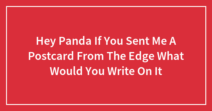 Hey Panda If You Sent Me A Postcard From The Edge What Would You Write On It