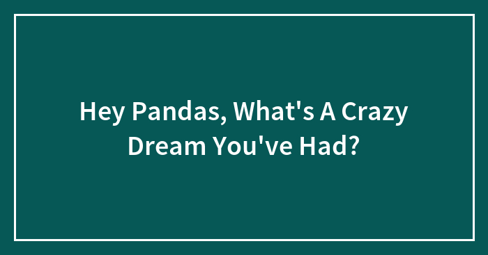 Hey Pandas, What’s A Crazy Dream You’ve Had? (Closed)