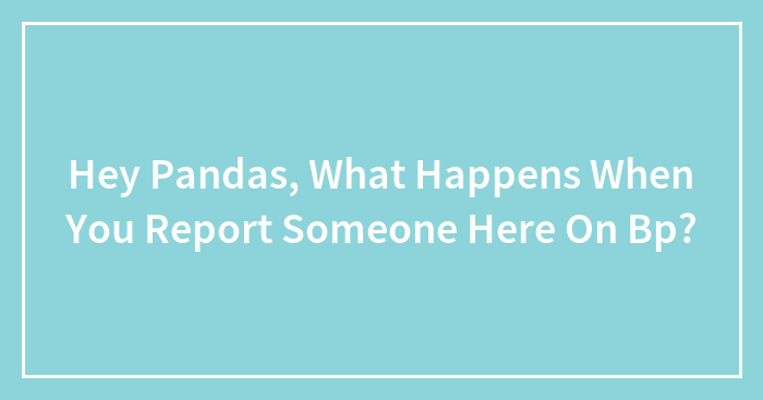 Hey Pandas, What Happens When You Report Someone Here On Bp?