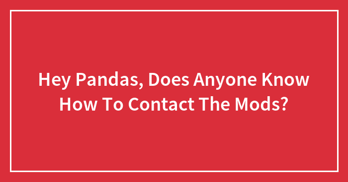 Hey Pandas, Does Anyone Know How To Contact The Mods?