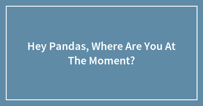 Hey Pandas, Where Are You At The Moment? (Closed)