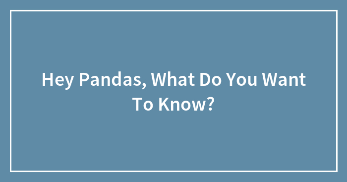 Hey Pandas, What Do You Want To Know?