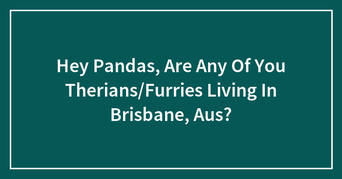 Hey Pandas, Are Any Of You Therians/Furries Living In Brisbane, Aus?