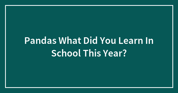 Pandas What Did You Learn In School This Year?