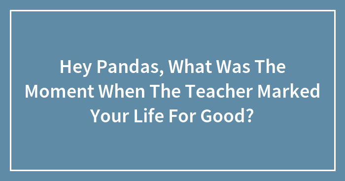 Hey Pandas, What Was The Moment When The Teacher Marked Your Life For Good?