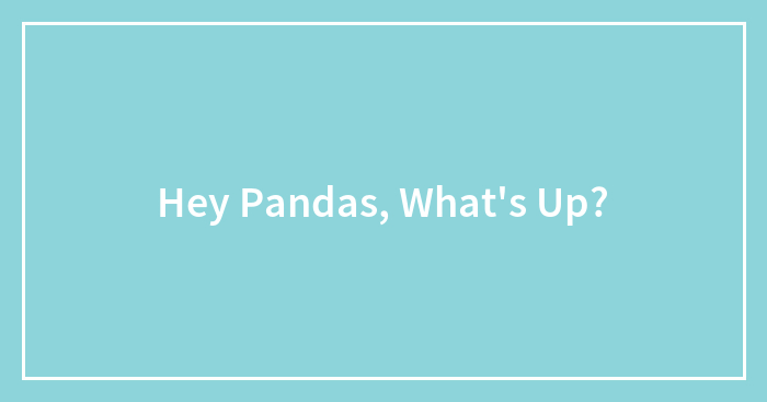 Hey Pandas, What’s Up?