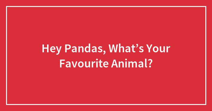 Hey Pandas, What’s Your Favourite Animal?