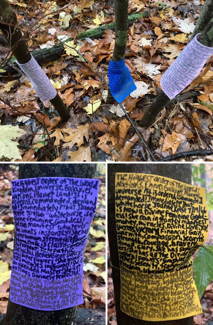 Strange Finds In The Woods