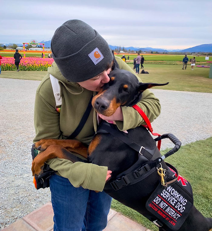 &ldquo;He&rsquo;s Scent-Trained To Alert&rdquo;: 3-Year-Old Dobermann Tobias Improves Chronically Ill Owner&rsquo;s Life