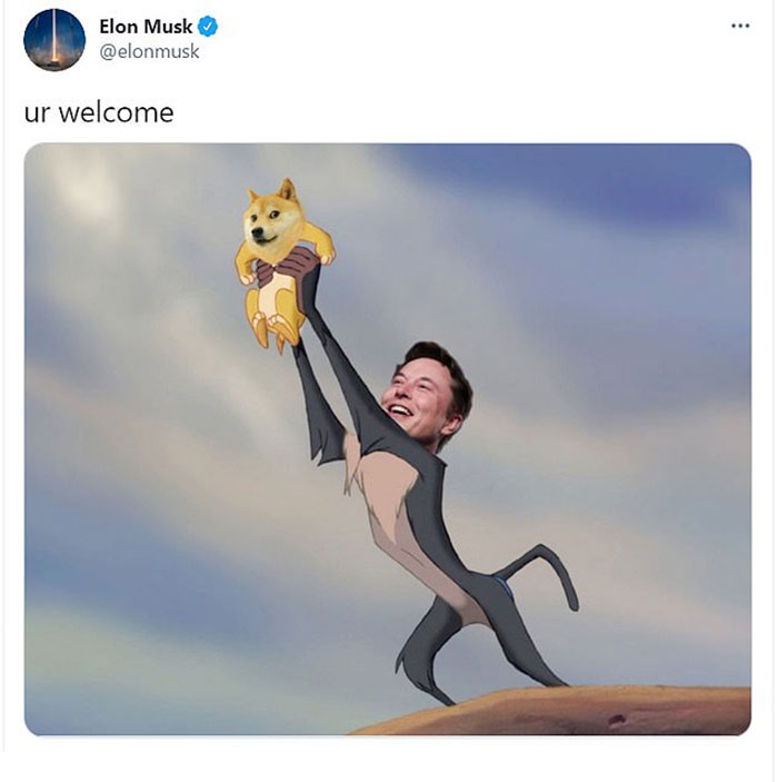 End Of An Era: Beloved “Doge” Meme Dog Kabosu Passes Away At Age 18 End Of An Era: Beloved “Doge” Meme Dog Kabosu Passes Away At Age 18