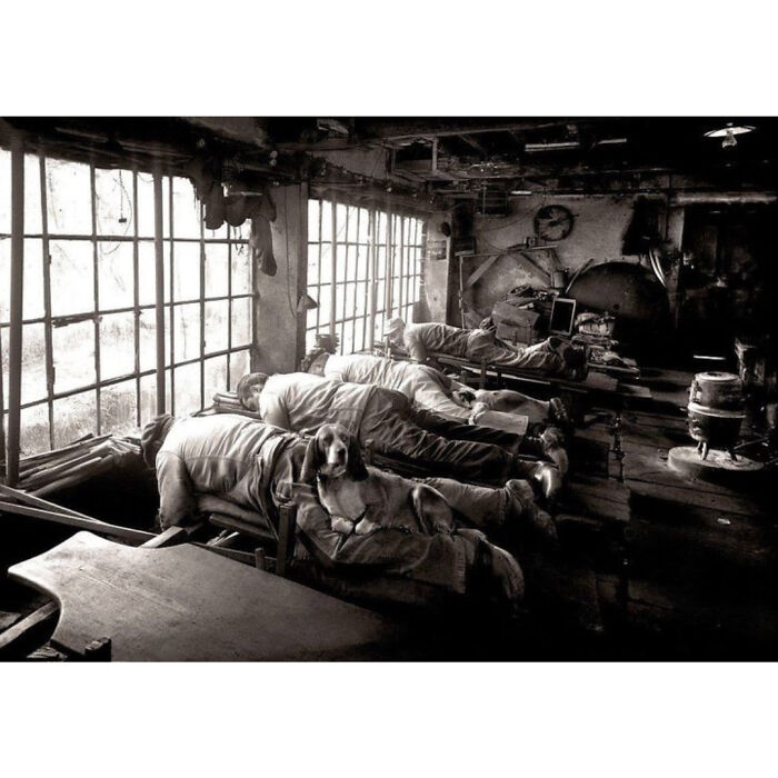 Knife Grinders In France In The Early 1900s.⁣⁣ ⁣⁣ The Workers Laid Face Down To Save Their Backs From Being Hunched Over All Day. They Brought Their Dogs To Lay On Their Legs For Warmth