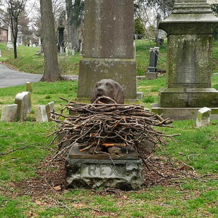 A Bronze Statue Of A Dog Named Rex, Lying On A Stone Platform Engraved With His Name. Rex Was The Faithful Companion Of John E. Stow, One Of The City’s Longest Practicing Fruit Merchants, Who Died In 1884