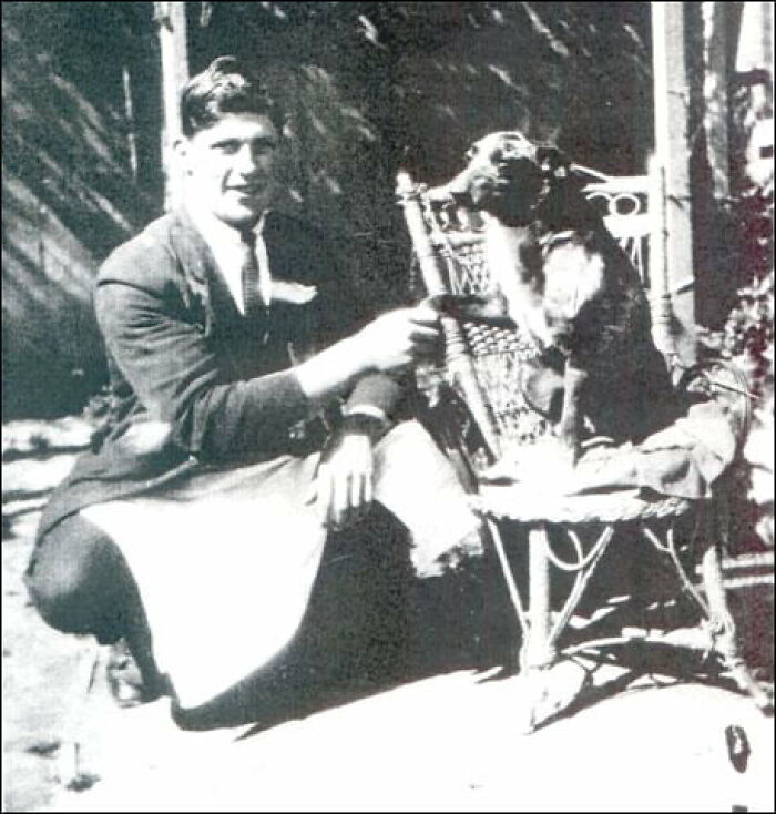 Bluey Was A Female Australian Cattle Dog Born On June 7, 1910. She Herded Cattle And Sheep For 20 Years