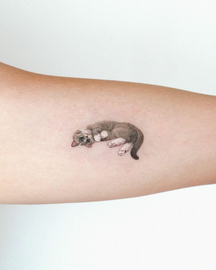 Tattoo of a cute curled-up cat on an arm.