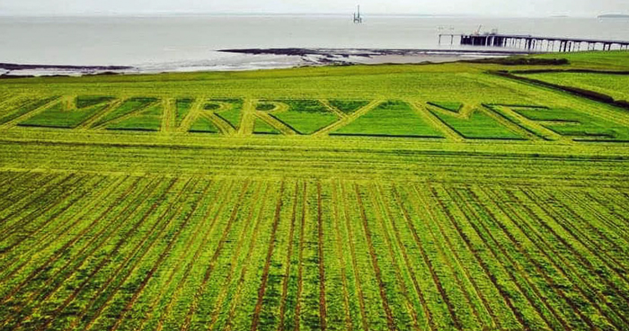 Girlfriend Can’t Hold Her Tears Back After Farmer Carves “Marry Me” Into His Field At Golden Hour
