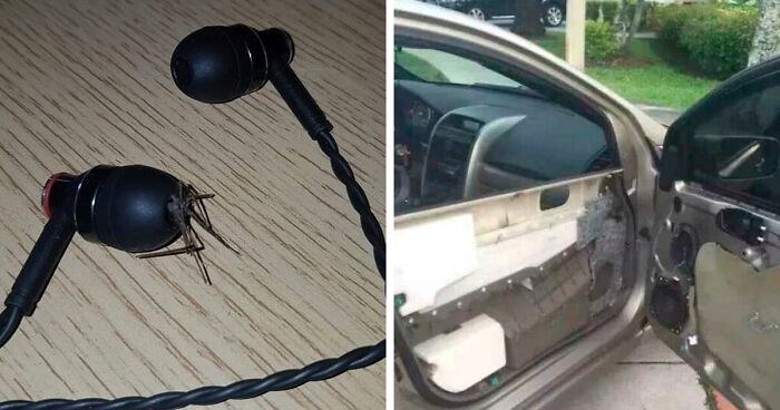 27 Scary Moments Many People Never Thought Could Even Happen