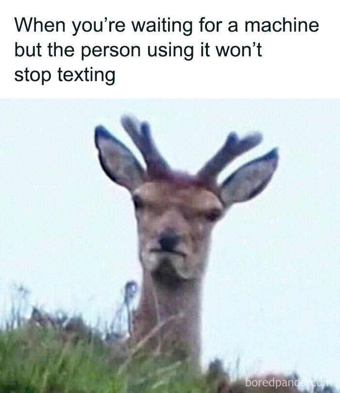 Fitness-Motivation-Funny-Memes