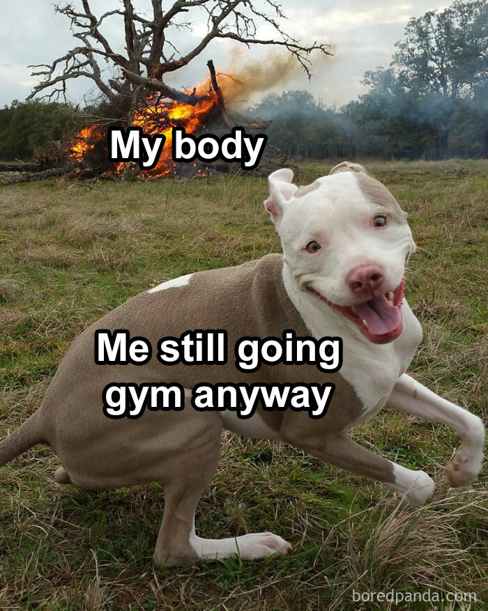 Fitness-Motivation-Funny-Memes