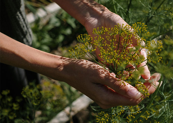 30 People Share Flexes They’re Proud Of But Too Embarrassed To Show Off