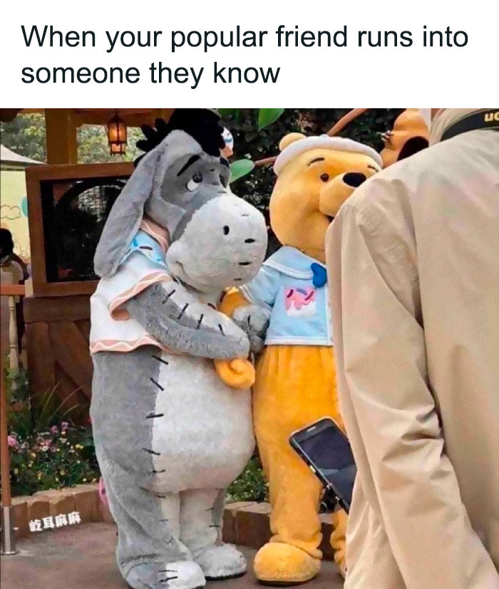 Disney adults enjoying a fun meme with Eeyore and Pooh costumes in a social setting.