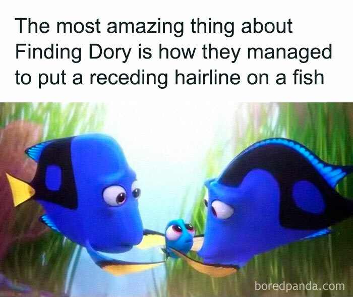 Animated fish from Finding Dory with a funny meme text about receding hairline, appealing to Disney adults and meme fans.