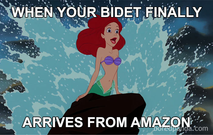 Disney meme featuring a joyful scene with Ariel, with humorous text about a bidet arriving from Amazon.