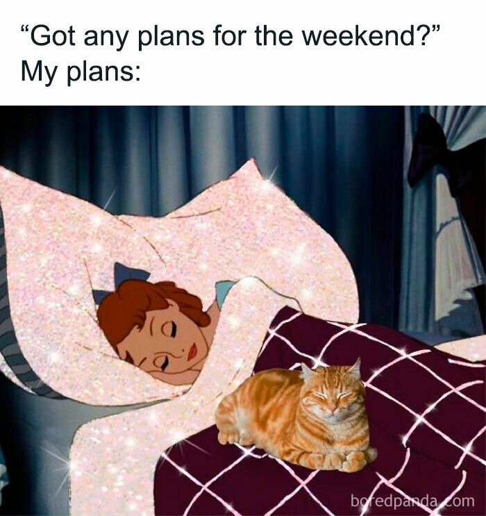 Disney character sleeping cozily with a cat on a bed, depicting weekend plans in a humorous meme.