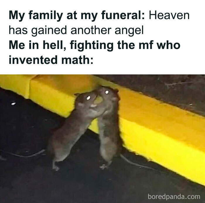 Meme with two animals playfully fighting, illustrating a humorous take on family dynamics.