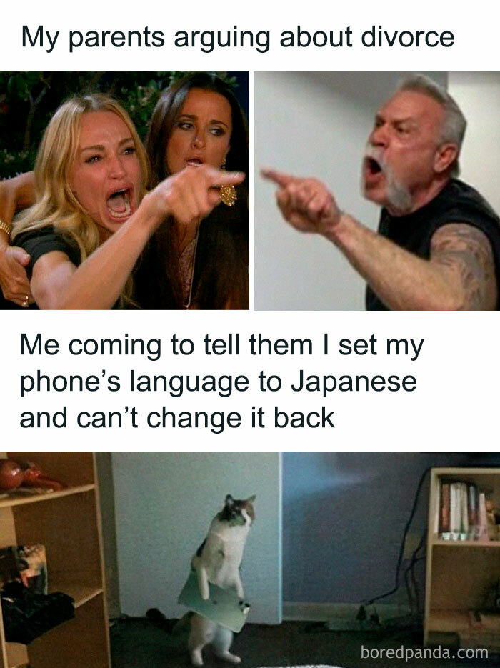 Collage of funny family meme, illustrating parents arguing and a cat with a paper, highlighting humor in family dynamics.