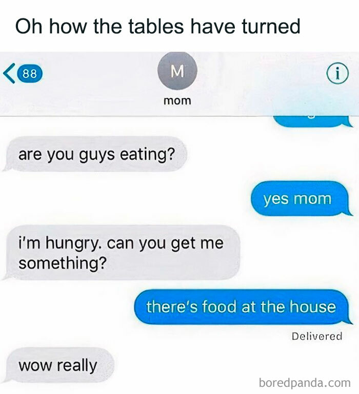 Text message meme about family with mom texting about food, replied with classic "there’s food at the house" response.