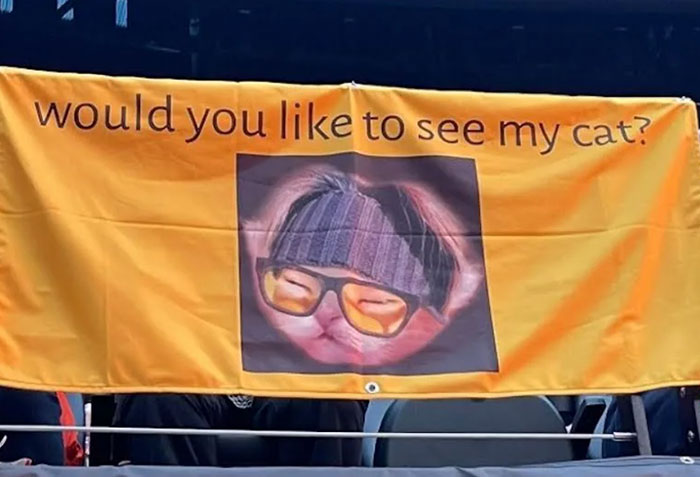 The Only Cat We Want To See