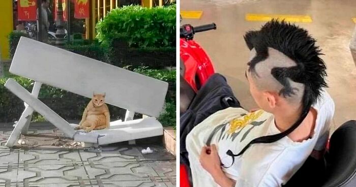 “Pics That Go Hard”: 30 Of The Best Posts From This IG Page (New Pics)