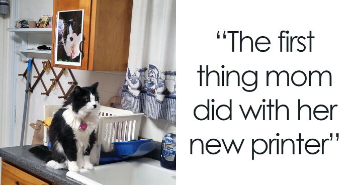 50 Happiness-Inducing Pics Of Moms Being Their Hilariously Wholesome Selves (New Pics)