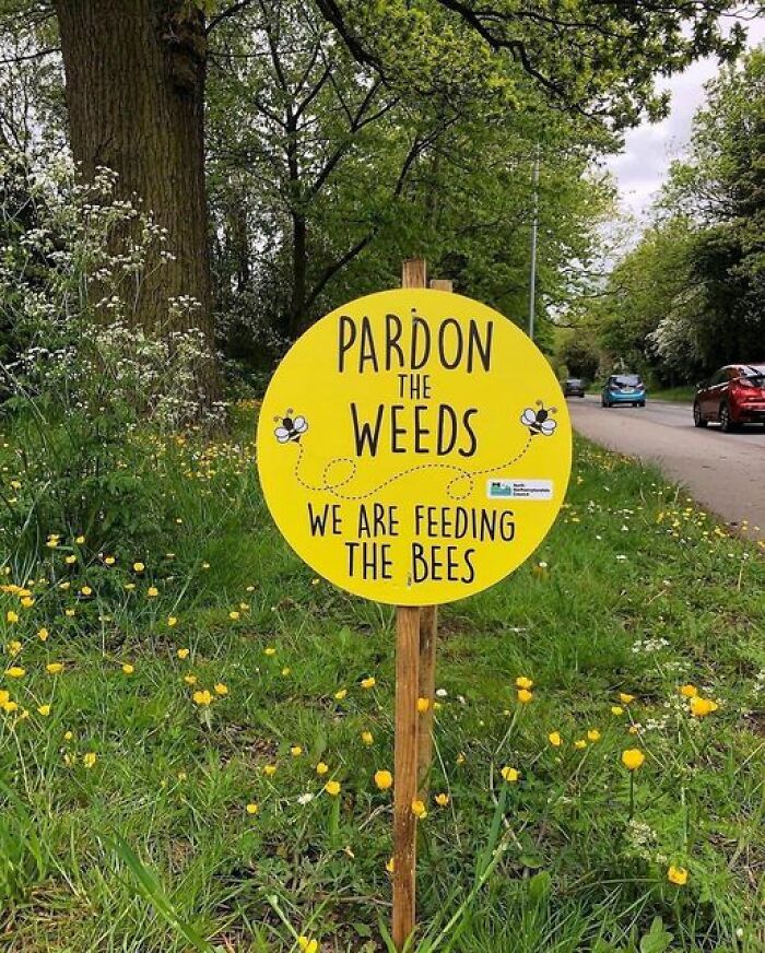 Gardening-Plant-Posts