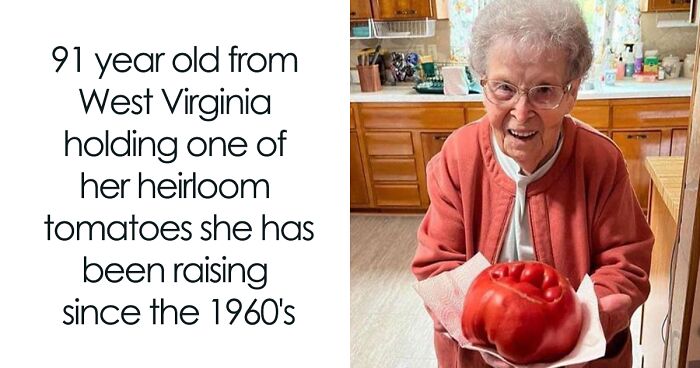 This Group Unites All Plant Lovers And Shares The Most Hilarious Gardening Posts Out There (50 Posts)