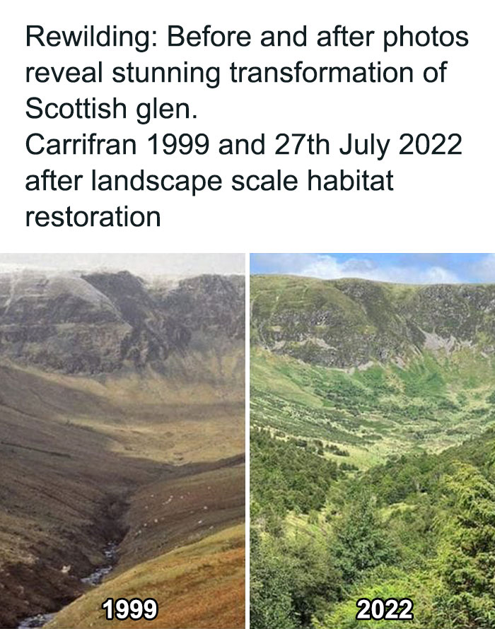 Gardening-Plant-Posts