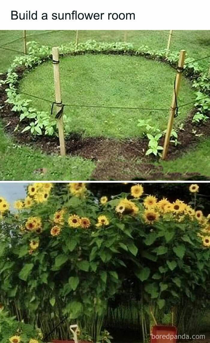 Gardening-Plant-Posts