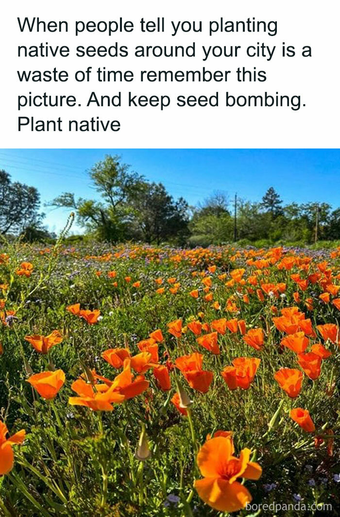 Gardening-Plant-Posts