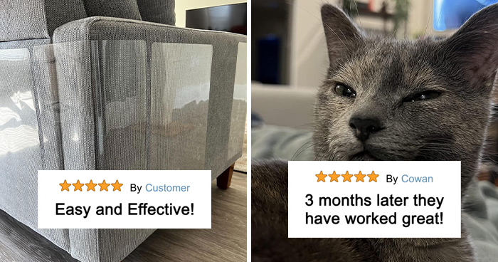 See 58 Items Every Cat Lover Secretly Wants But Won’t Ask For