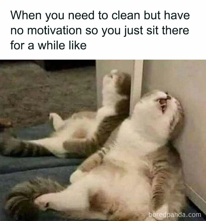 Girl-World-Memes-Girlsprobzz