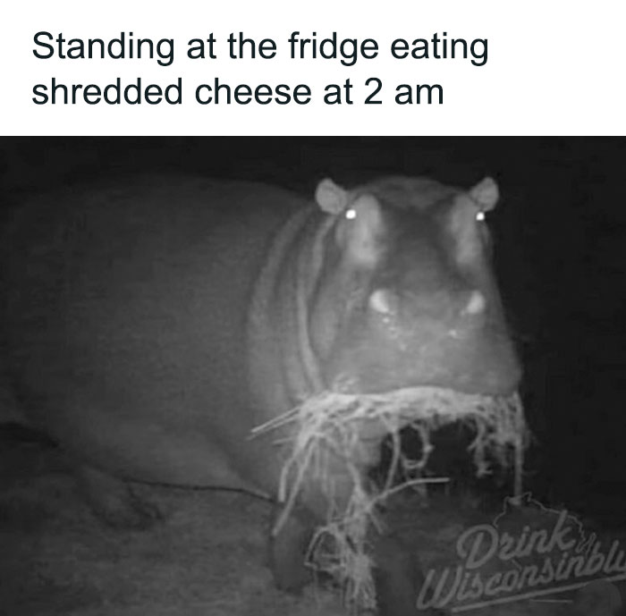 Girl-World-Memes-Girlsprobzz