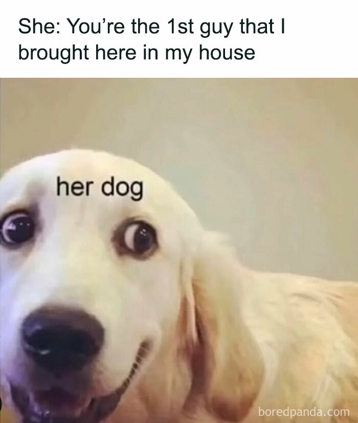 Girl-World-Memes-Girlsprobzz