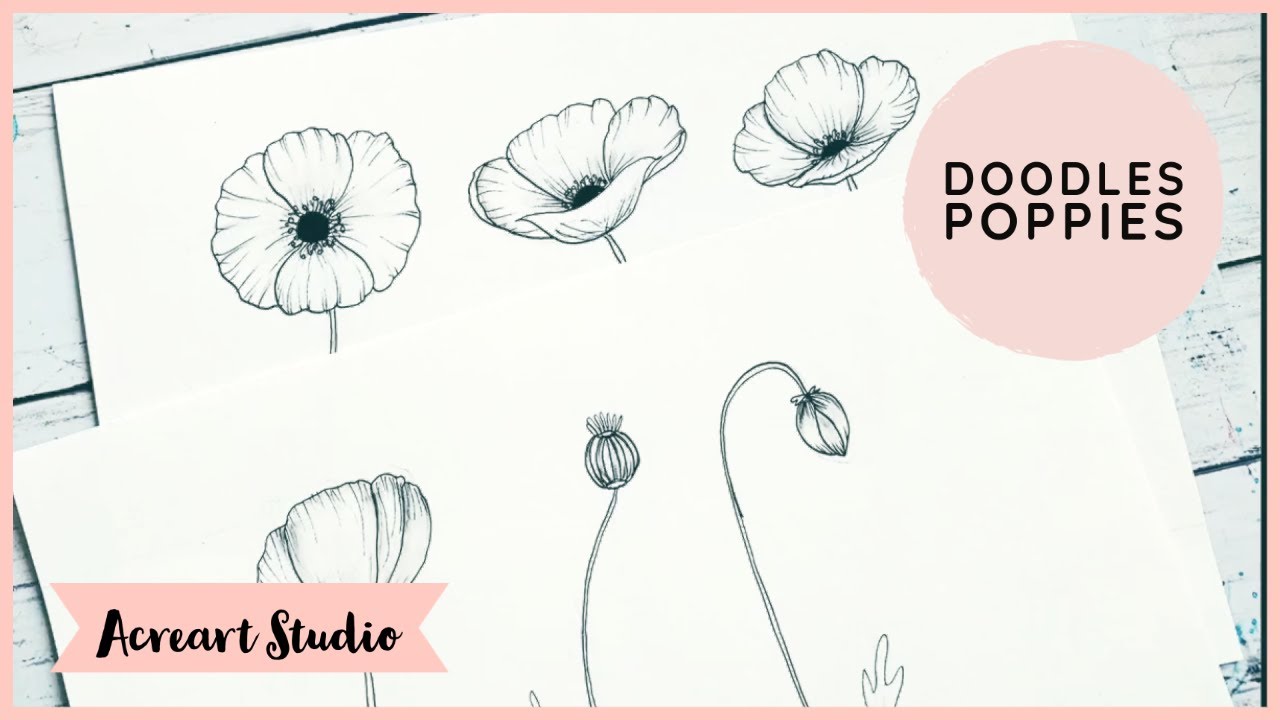Easy Poppies Drawing