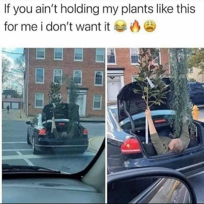 Hilarious-Relationship-Memes