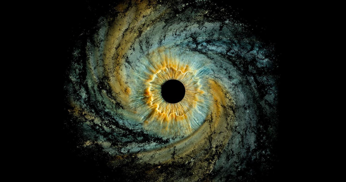 The Complex Business Of Iris Photography Is Capturing The Beauty Of The Human Eye In Immense Detail