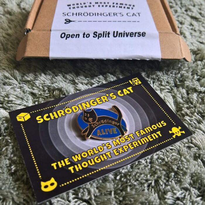 Now You Can Finally See If Schrodinger's Cat In A Box Is Dead Or Alive